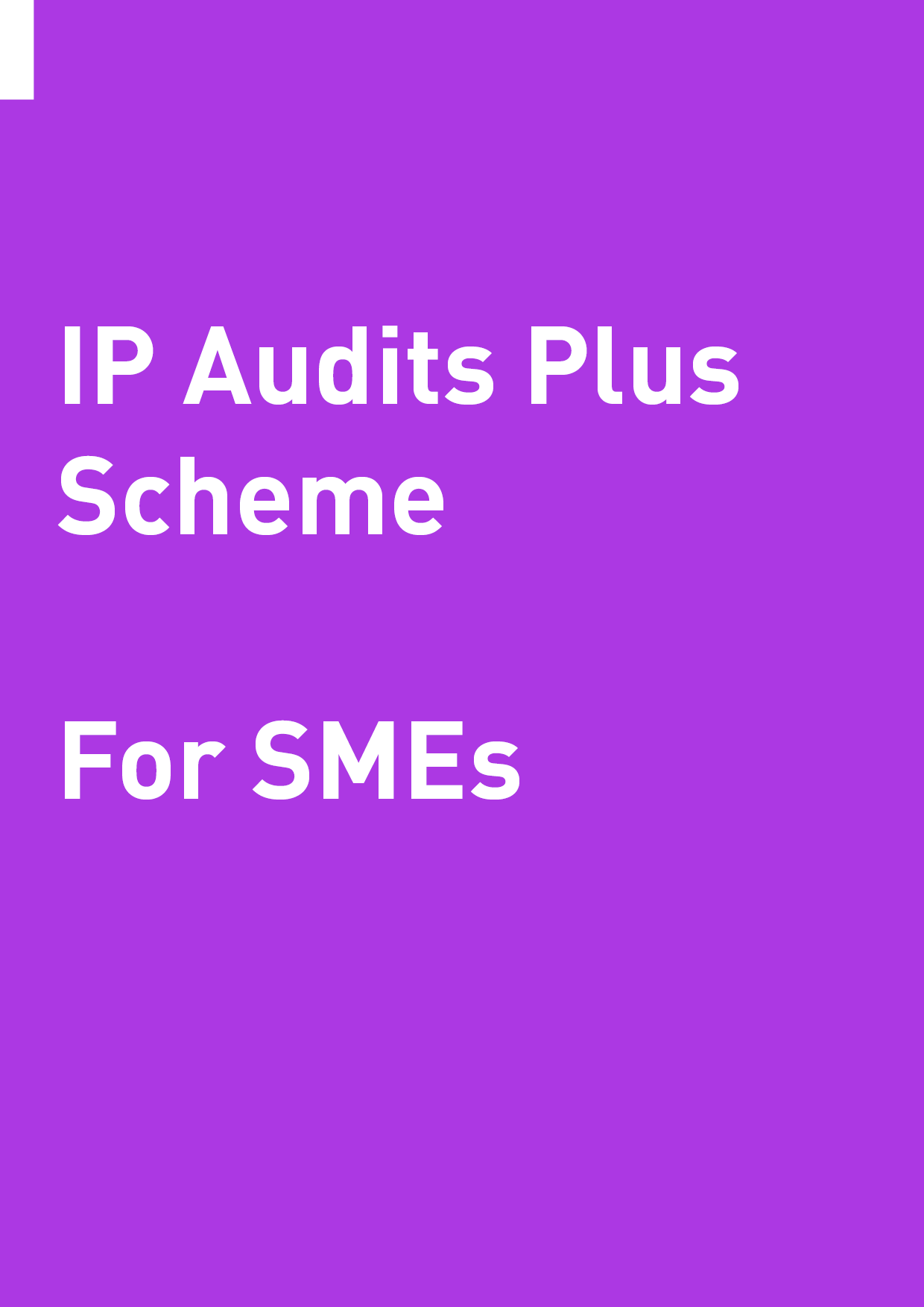 What SMEs Should Know About The IP Audits Plus Scheme